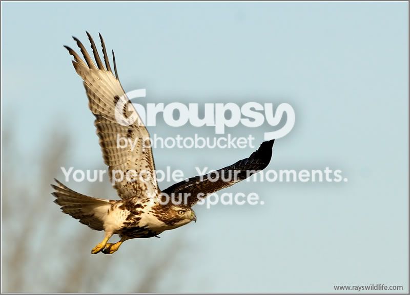 DSC_0763w.jpg