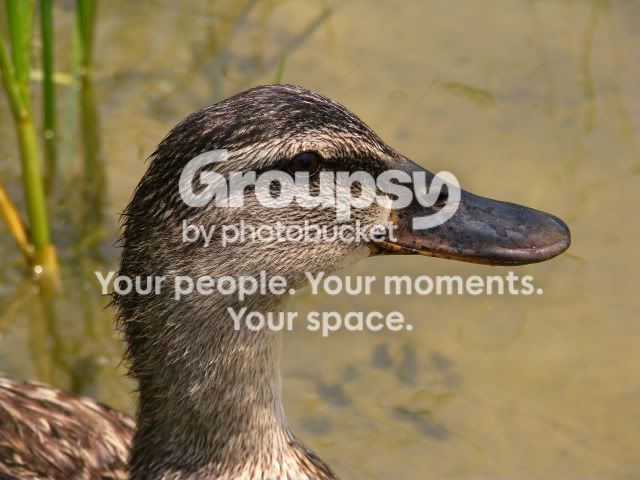 20090614_26.jpg