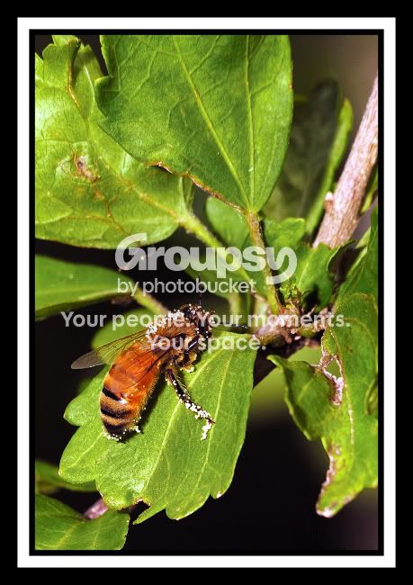 2008-07-19_11web.jpg