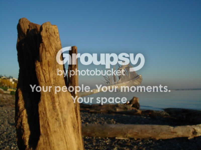 QuickyBeachFall039.jpg