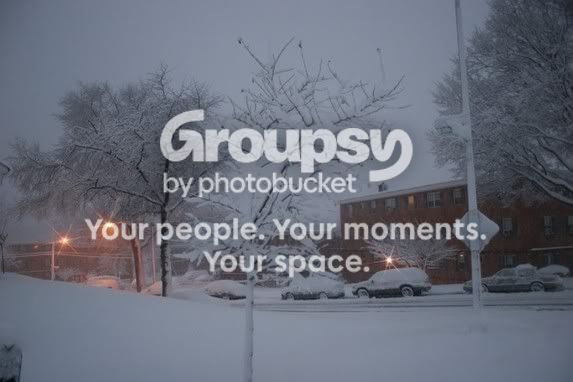 Snowy002.jpg