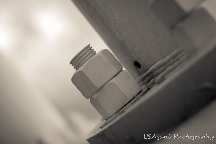 _MG_1440.jpg