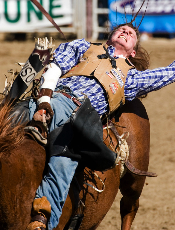 39227360_seYL6-XL.jpg
