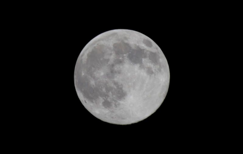 Mooncrop-4132.jpg