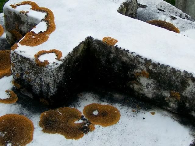 Crossstonewithorangemoss.jpg
