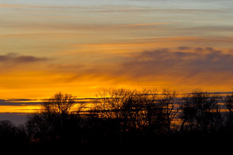 20111210-_MG_0703.jpg