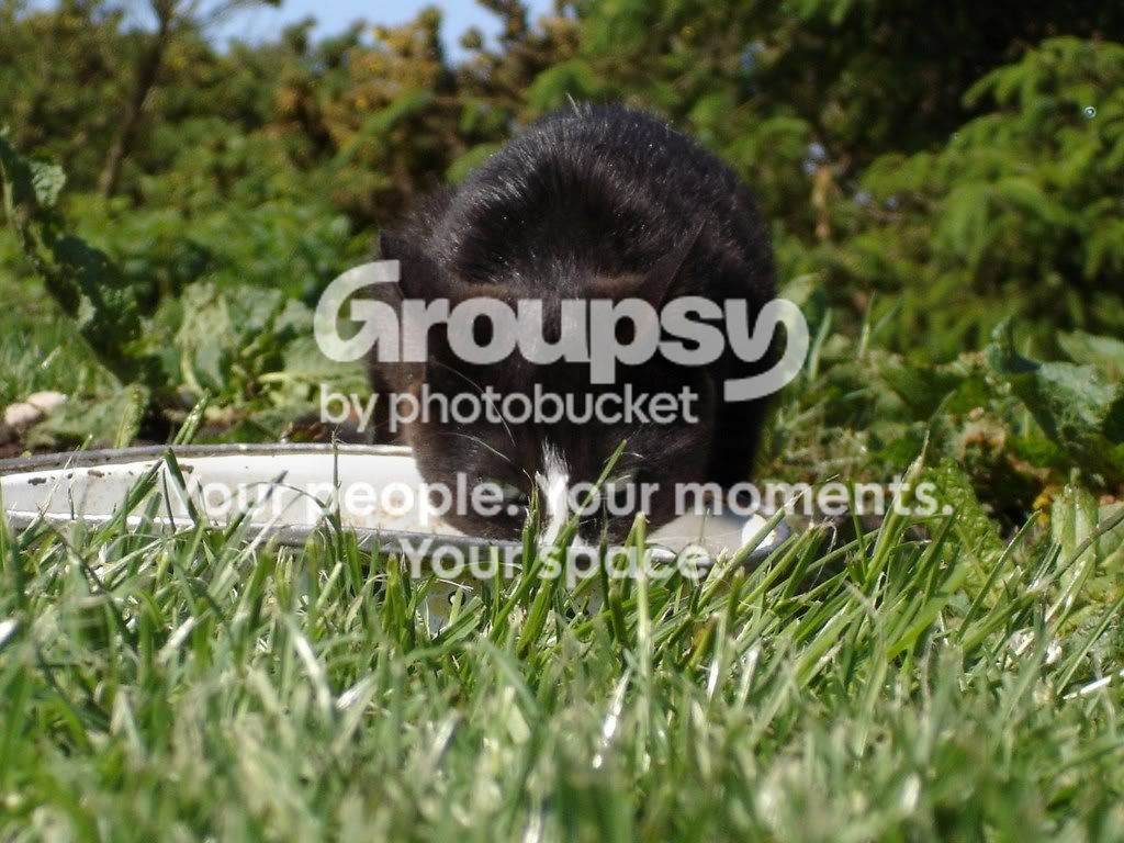 housestuff009.jpg