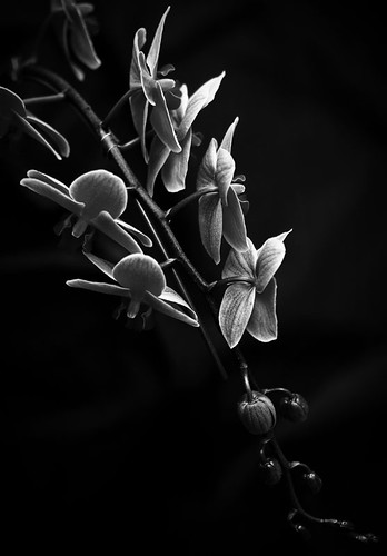 4151567179_7d6e28d3a7.jpg
