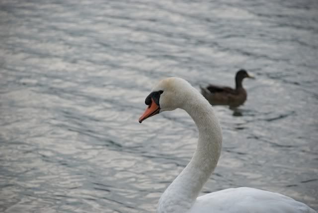 DSC_0249-Version2.jpg