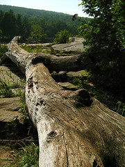 1326018873_67c60cb0d9_m.jpg