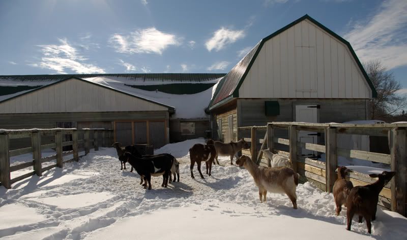 Ferme.jpg