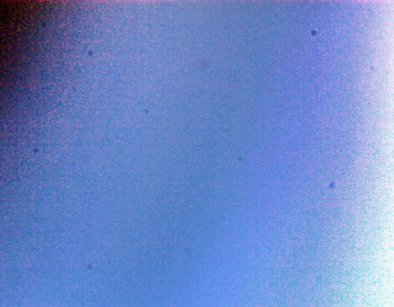 DustTest-2b.jpg