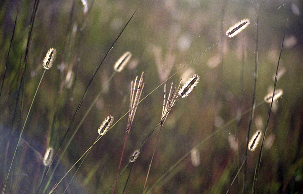 7996106420_b0d55cb8d9_b.jpg