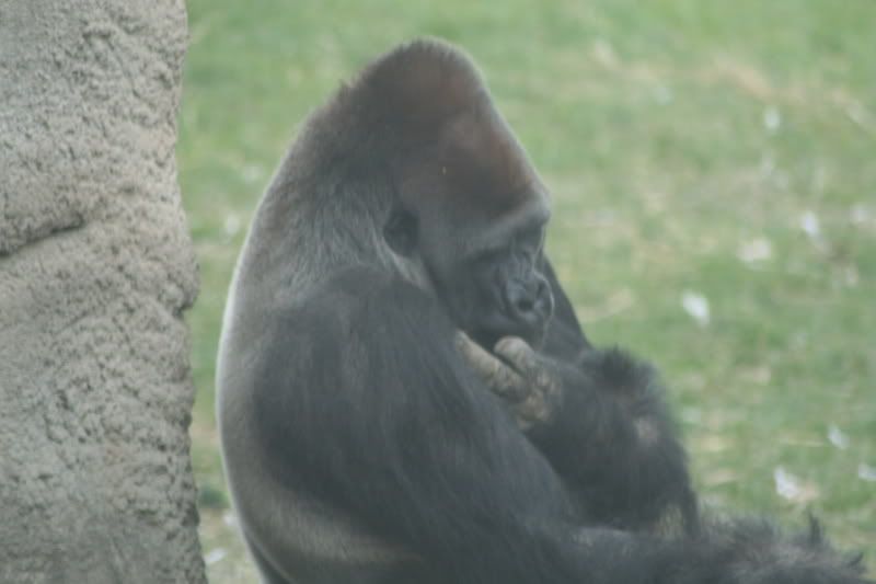 IMG_1267.jpg
