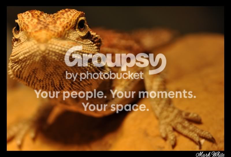CSC_0008.jpg