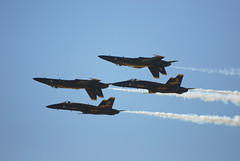 3177454551_08b03169c7_m.jpg