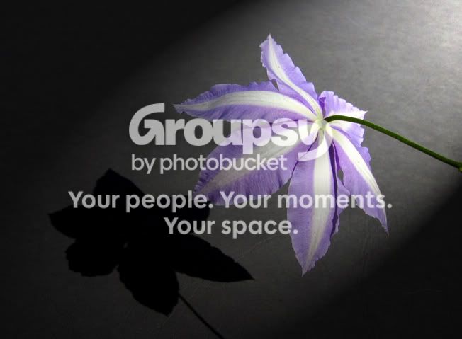 92504015edited51.jpg