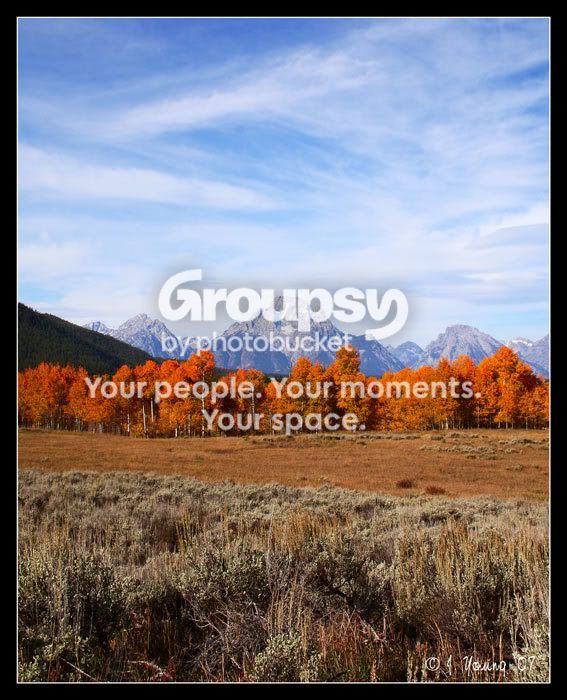 aspen--tetons.jpg