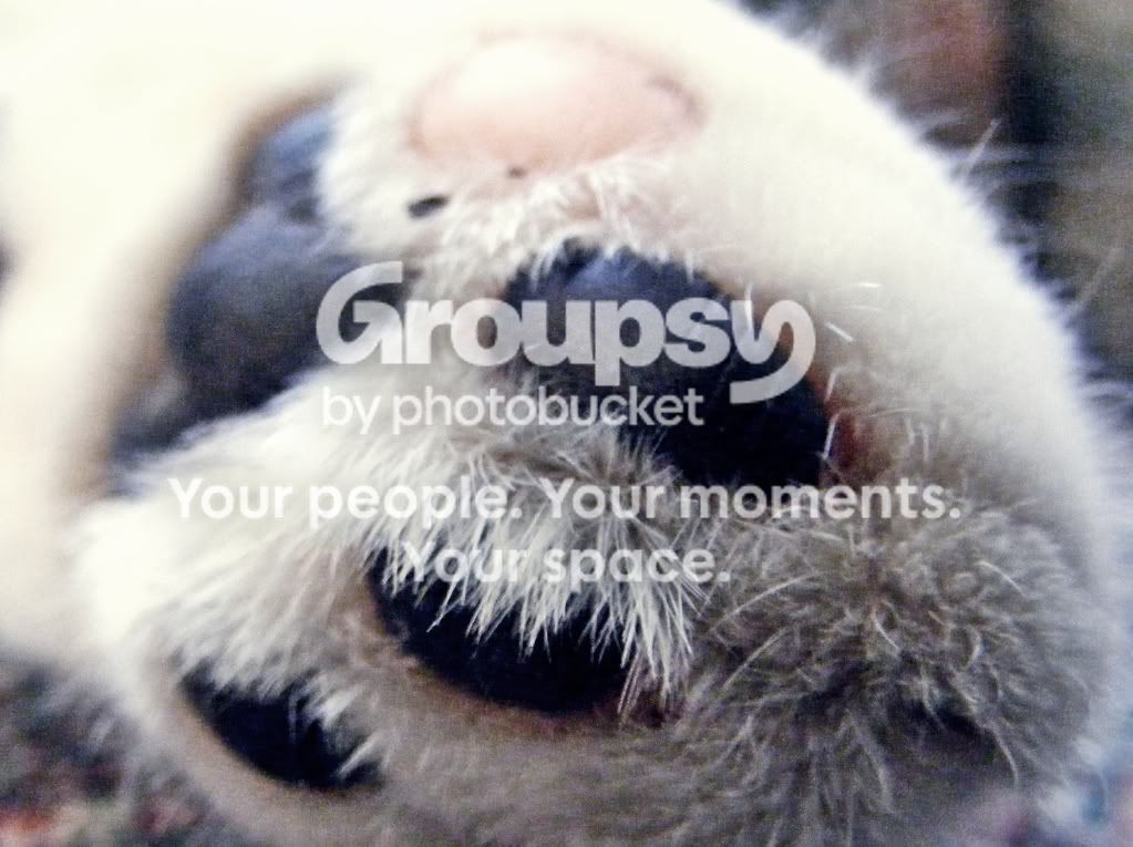 test005cropfilter.jpg