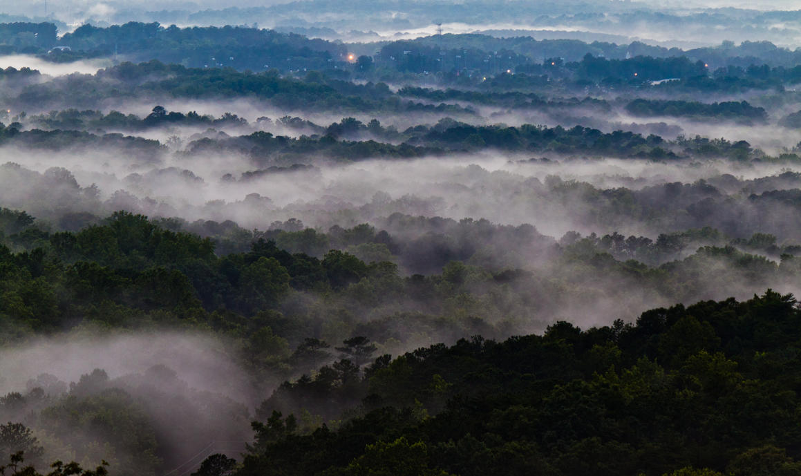 mist_in_marietta_by_pianoblack97-d53a9q8.jpg