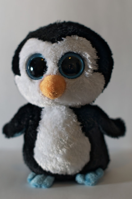 pingouin%20flash.jpg