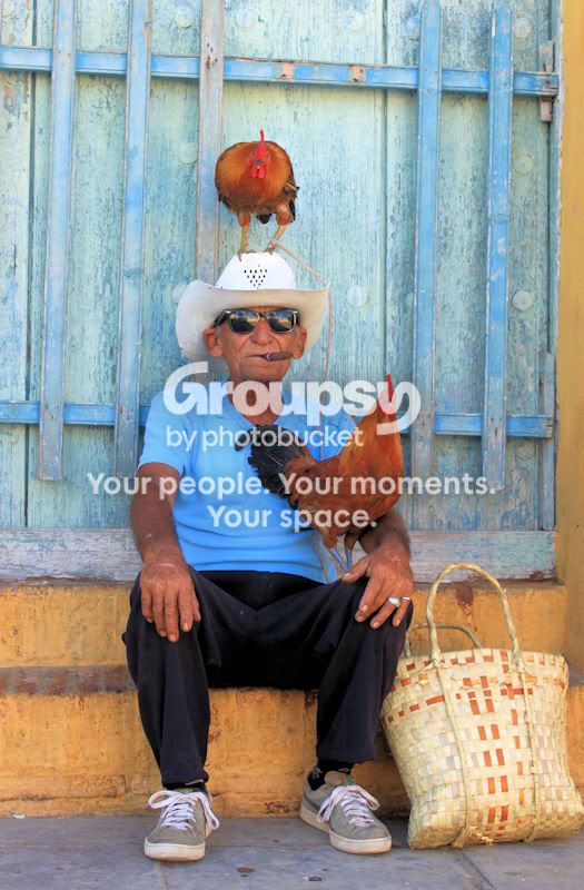 lesssaturationcrop-1.jpg