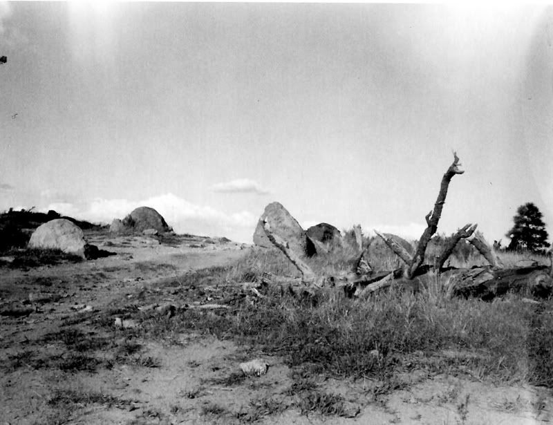 PolaroidMountEldenConfusingTrail.jpg