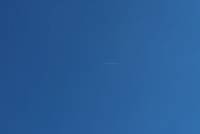 DSC_0365.jpg