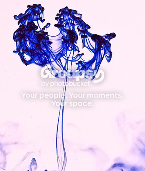 Blue2.jpg
