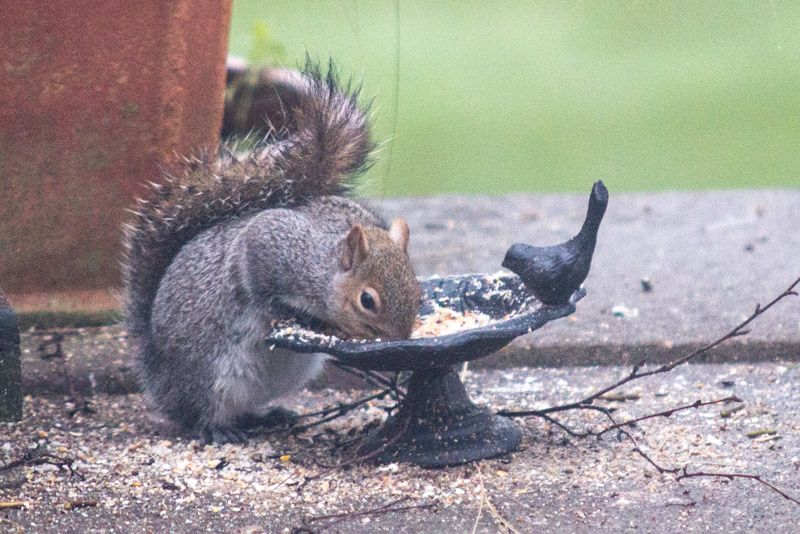 Bfast-1.jpg