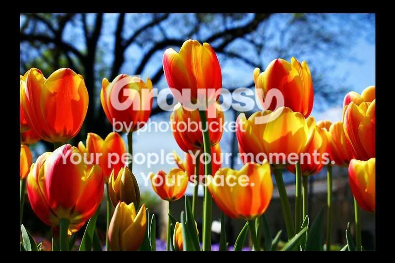 DSC05248e.jpg