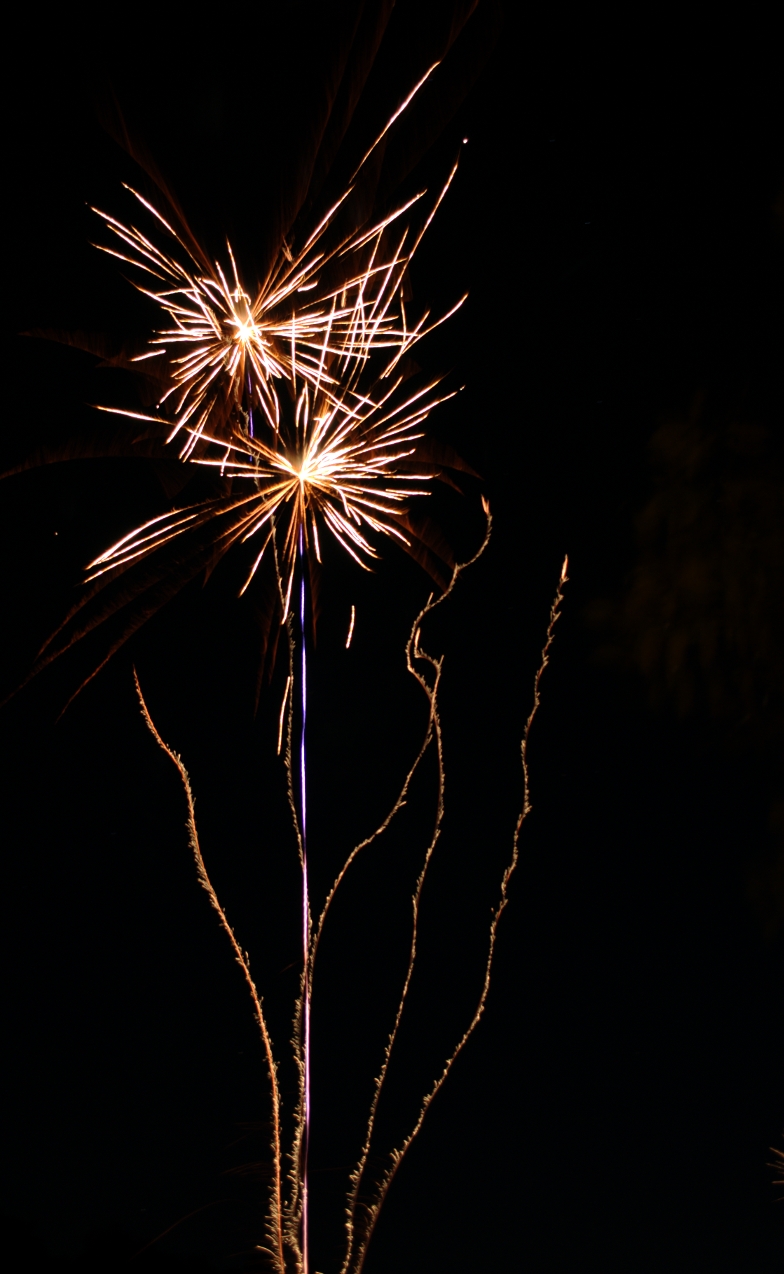 3695761700_a9f8635498_o.jpg