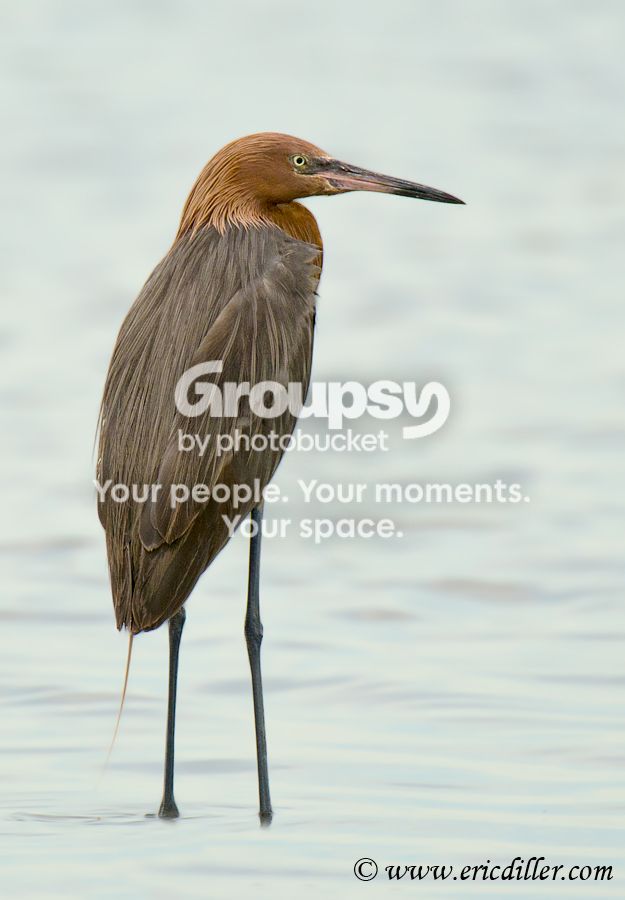 _ECD8083-copy900.jpg