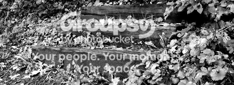 100_0364-1.jpg