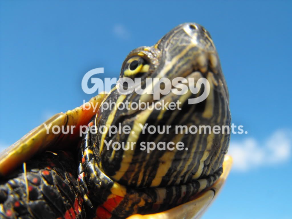 june122009457106.jpg