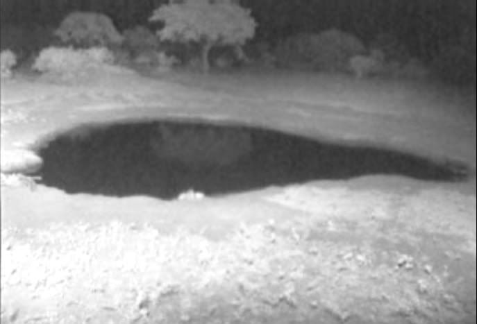 waterhole.jpg