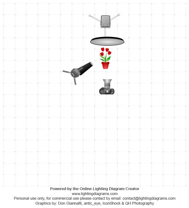 lighting-diagram-1363404280.jpg