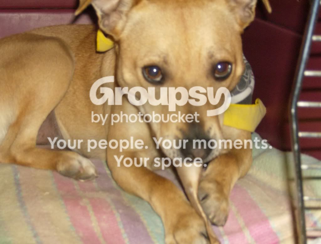 onestoshowoffonline066.jpg