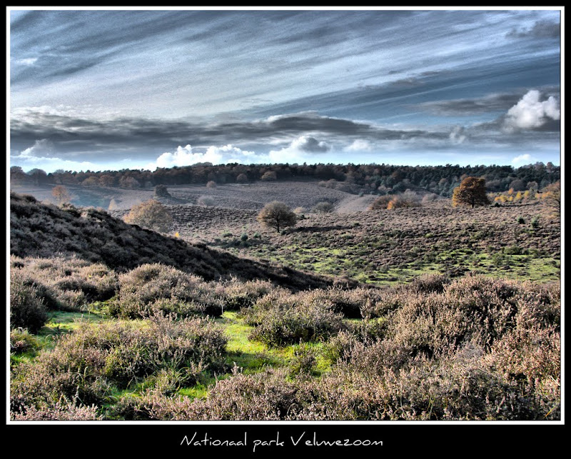 Untitled_HDR2-1.jpg