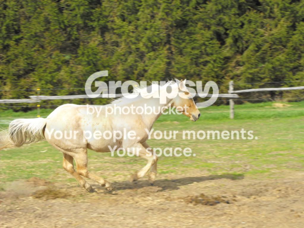 DSCF5111.jpg