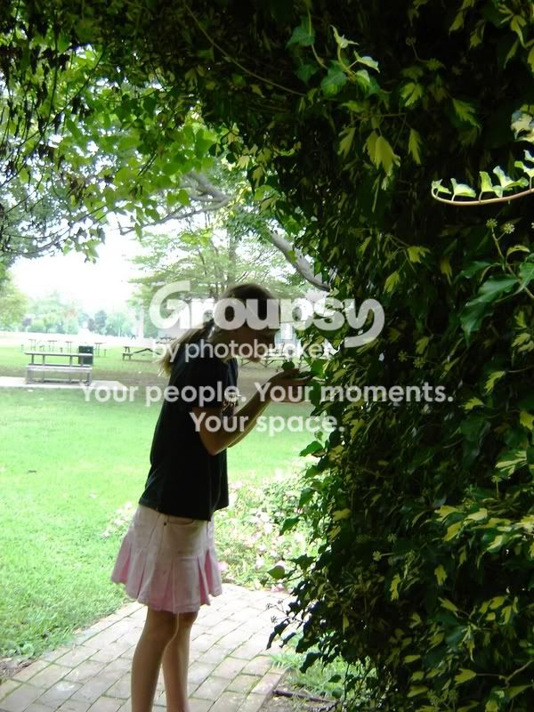 Park086.jpg