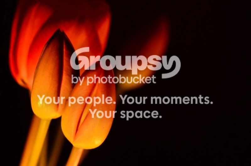 earthhour3.jpg