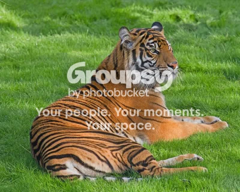 IMG_6155-Edit.jpg