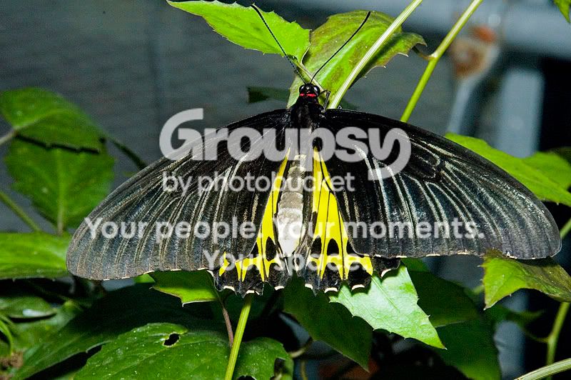 DSC_4981.jpg