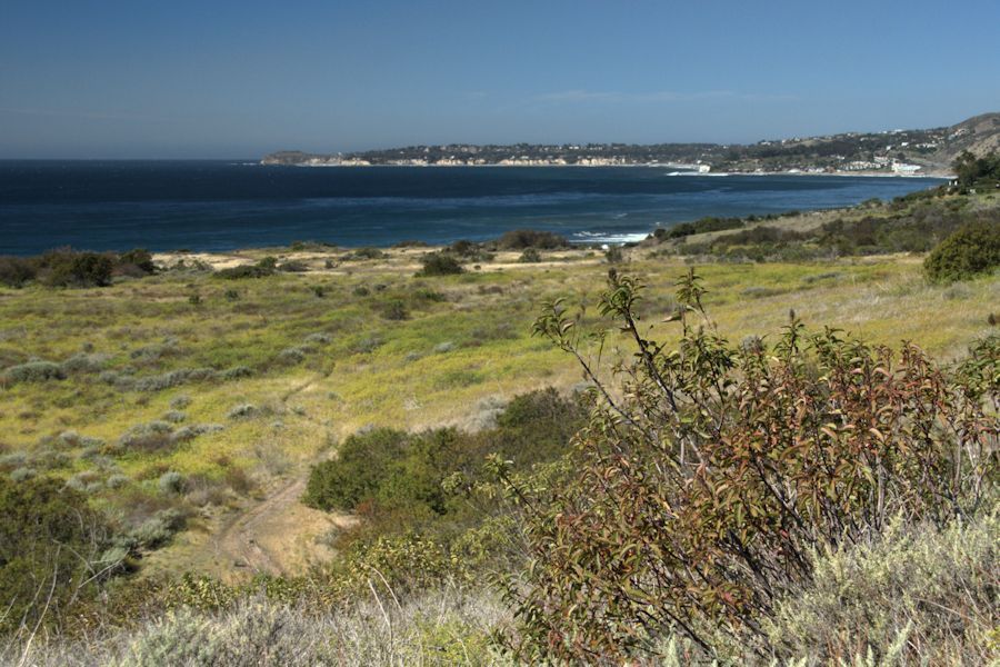 malibu2web-2.jpg