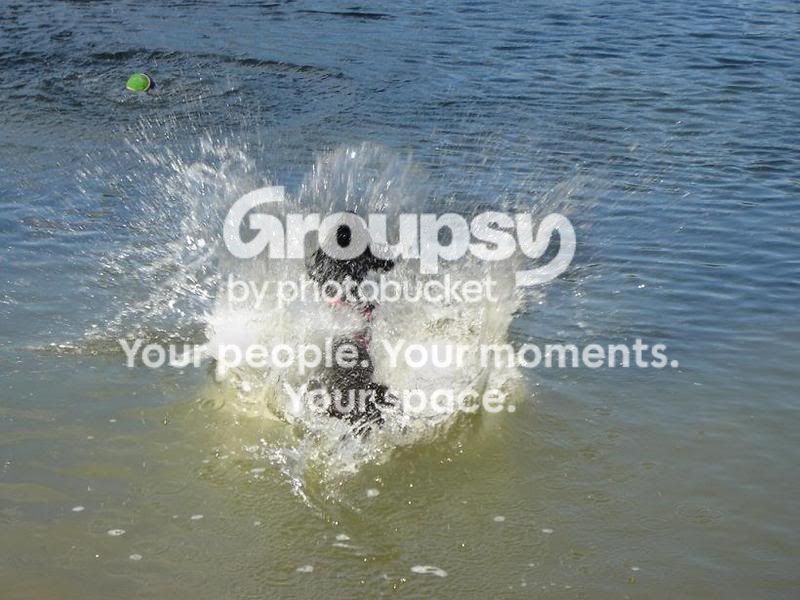 splash-1.jpg