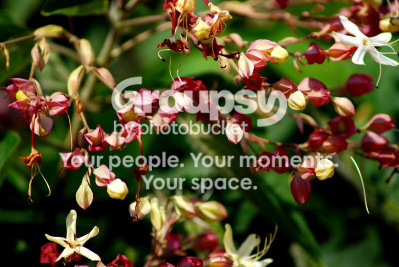 nature012.jpg