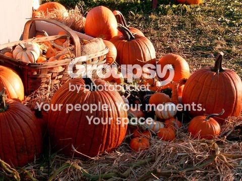 Harvest.jpg