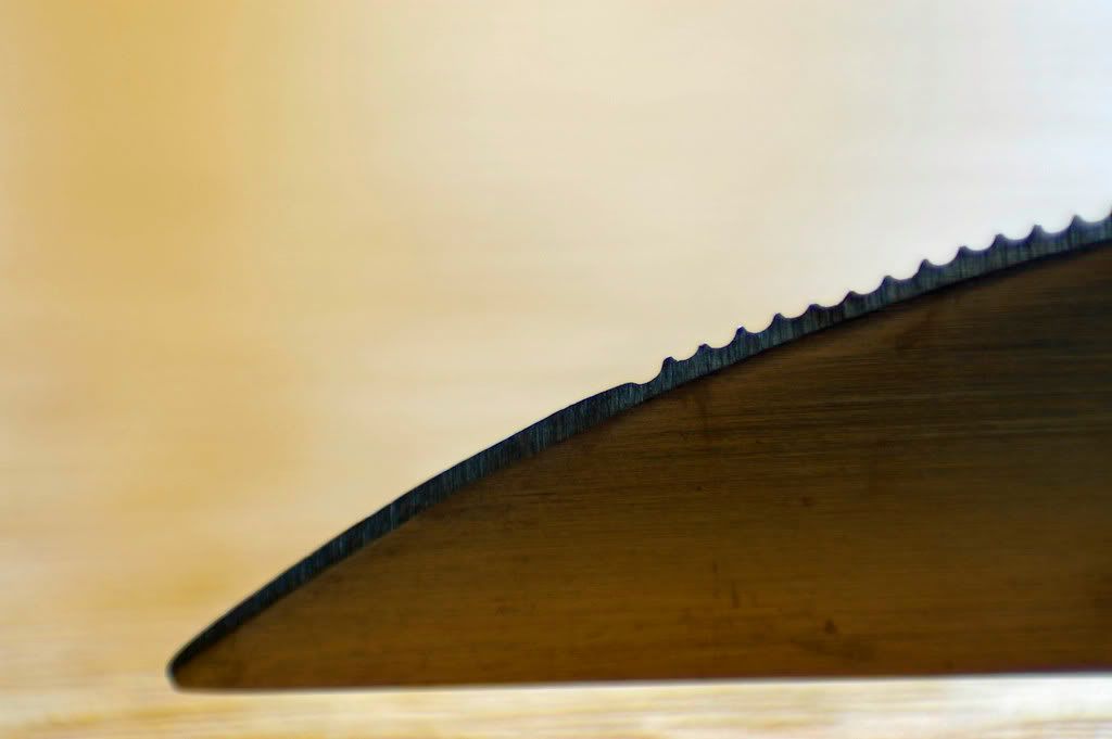 _IGP45302.jpg