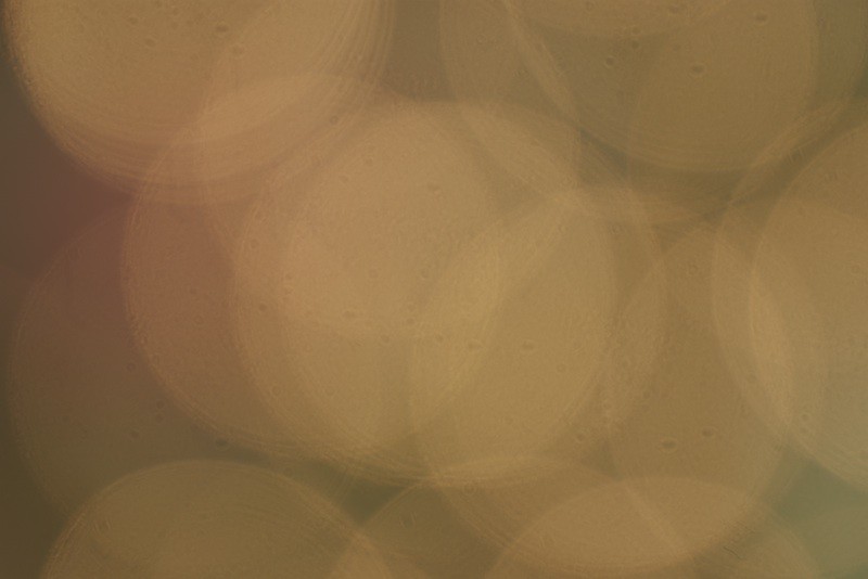 6576165117_cec0beaa38_b.jpg